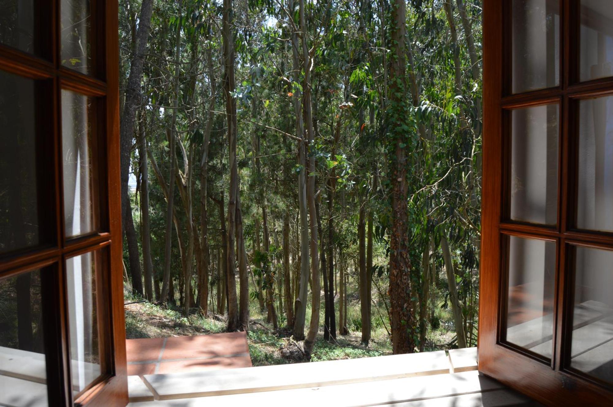 Quinta Dos Mangues