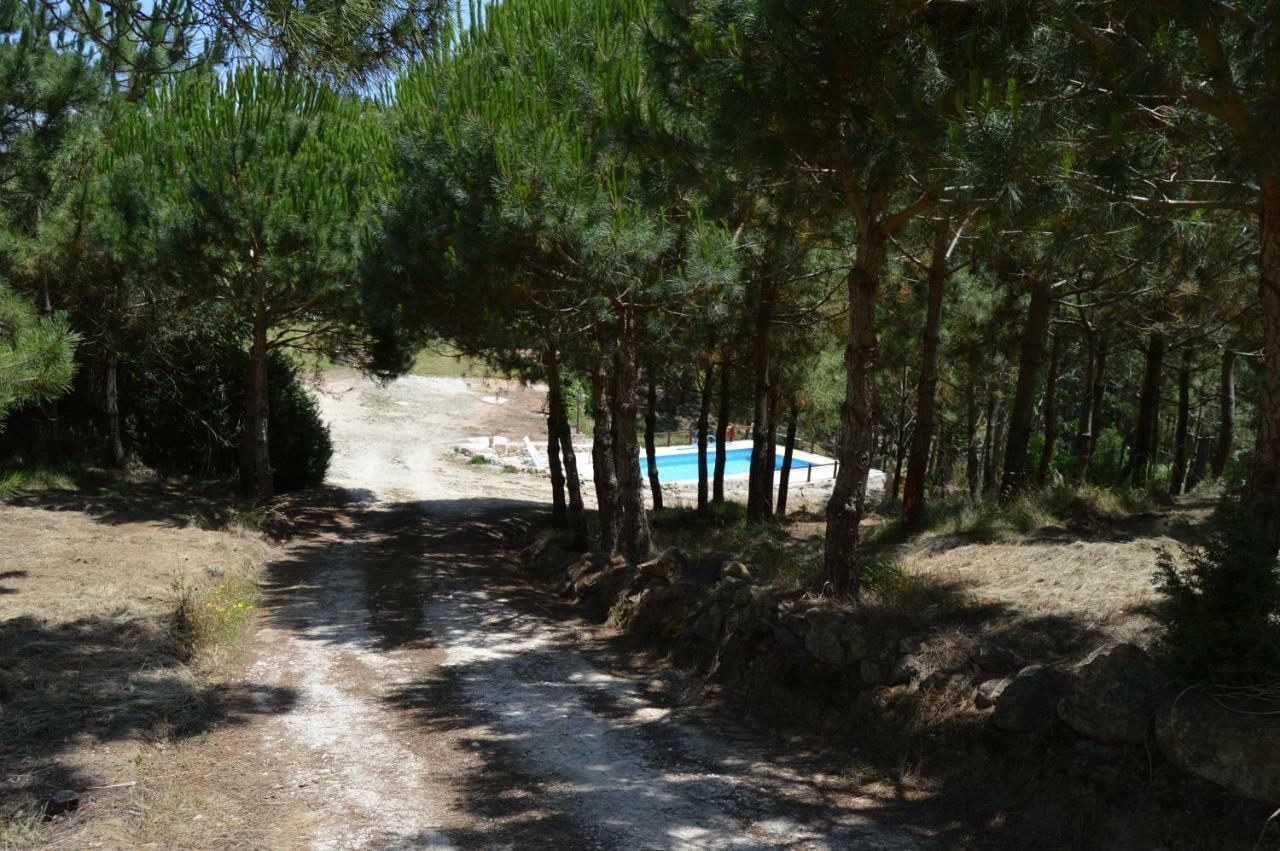 Quinta Dos Mangues *