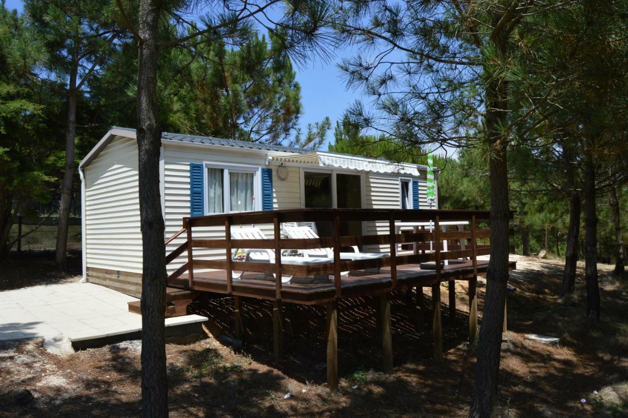 Quinta Dos Mangues Holiday home *